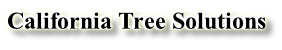California Tree Solutions