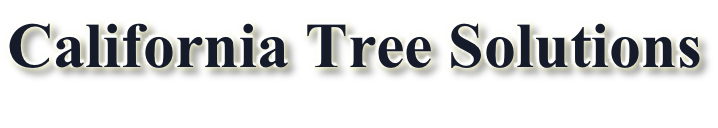 California Tree Solutions
