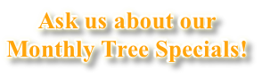Ask us about our  Monthly Tree Specials!