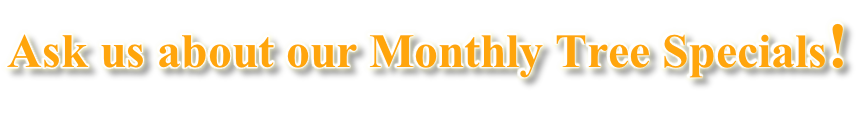 Ask us about our Monthly Tree Specials!