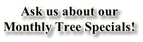 Ask us about our  Monthly Tree Specials!